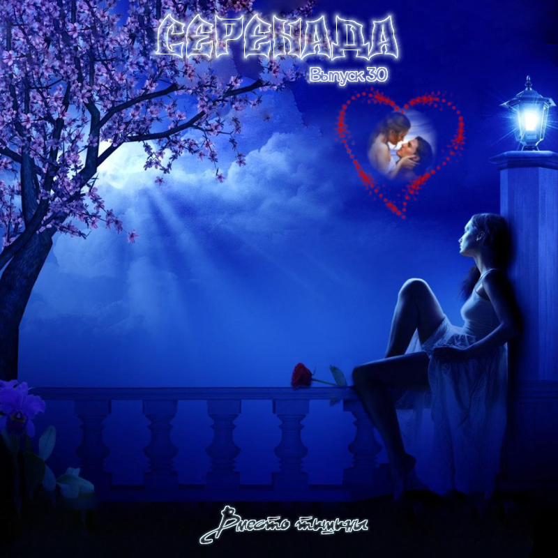 Серенада 30.0 Вместо тишины